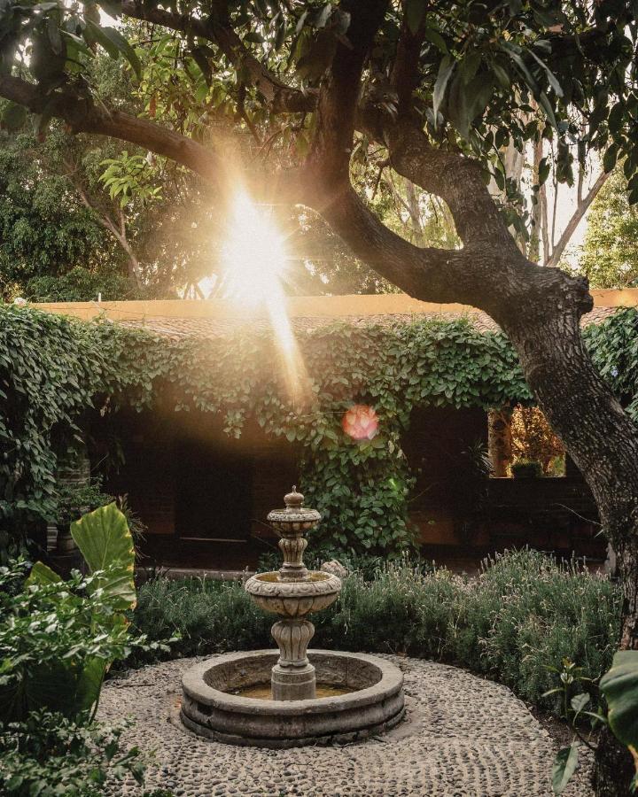 Quinta San Carlos San Pedro Tesistán Dış mekan fotoğraf